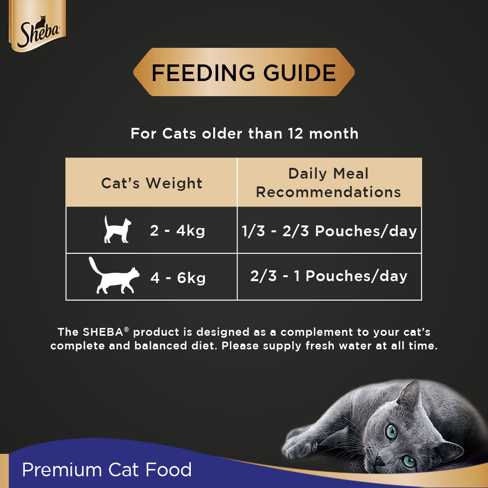 Sheba® Rich Premium Adult (+1 Year) Fine Wet Cat Food, Chicken Loaf (24 x 70g) - 5