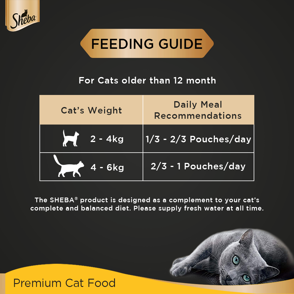 Sheba® Rich Premium Adult (+1 Year) Fine Wet Cat Food, Tuna Pumpkin & Carrot In Gravy (24 x 70g) - 5