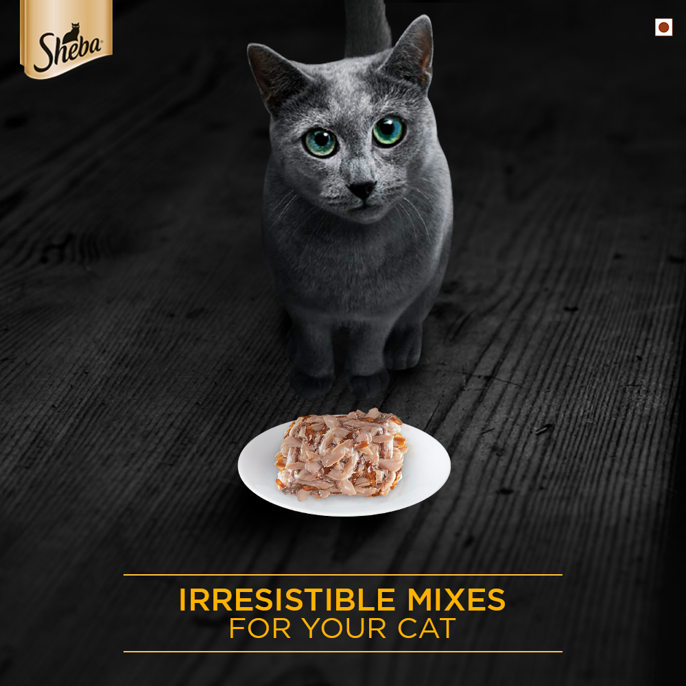 Sheba® Tuna Fillet & Whole Prawns in Gravy Premium Cat Wet Food (24x85g) - 4