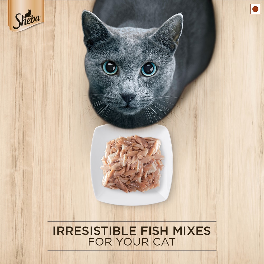 Sheba® Adult Rich Premium Wet Cat Food, Fish Mix (Maguro & Bream) (35g) - 4