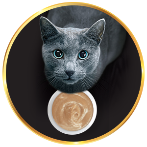 <p>Creamy Texture</p>