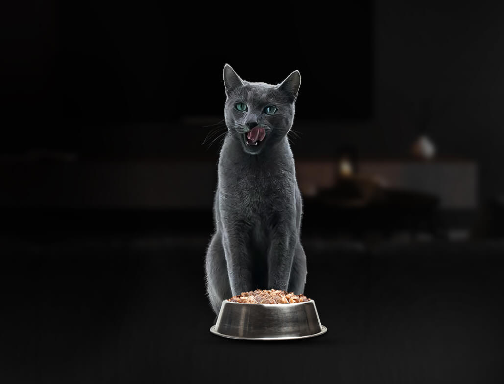 Sheba creamy snacks test clearance