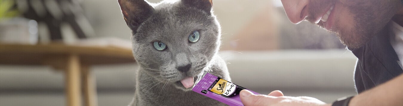 Sheba whiskas store
