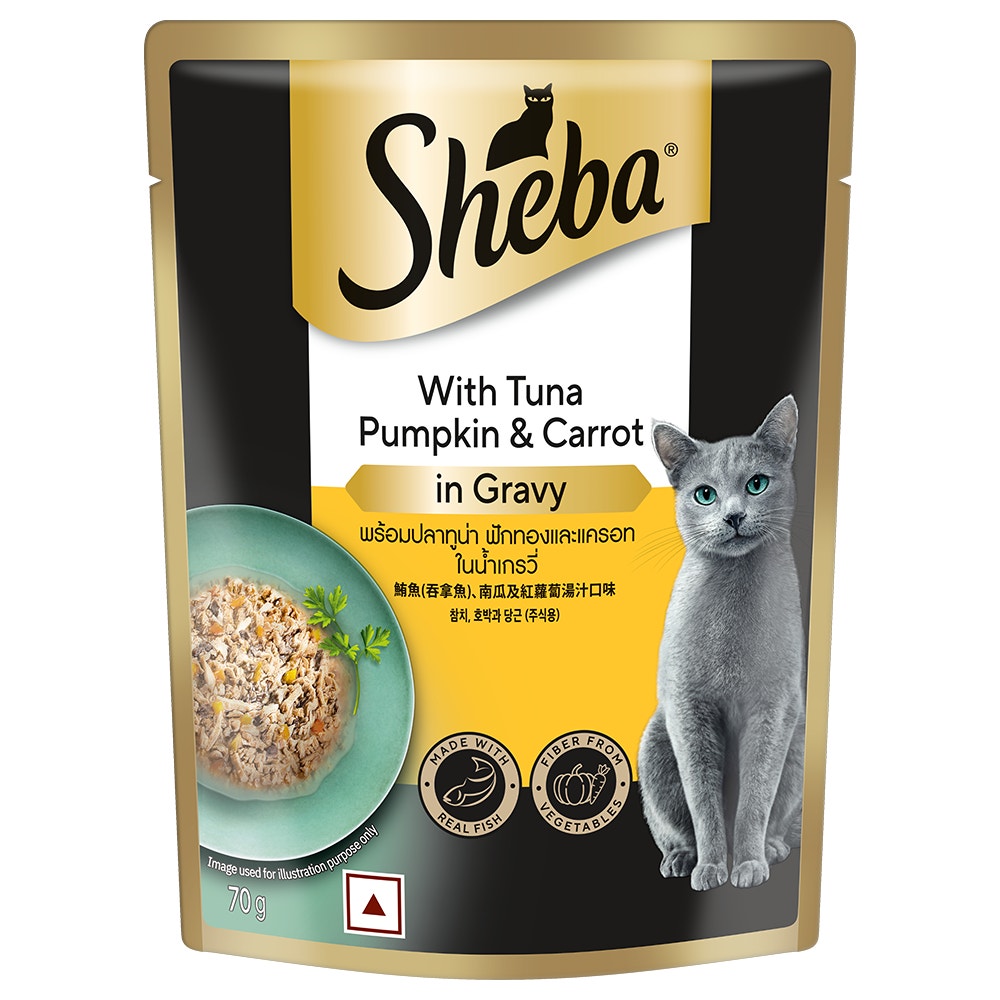 With Tuna Pumpkin & Carrot in Gravy